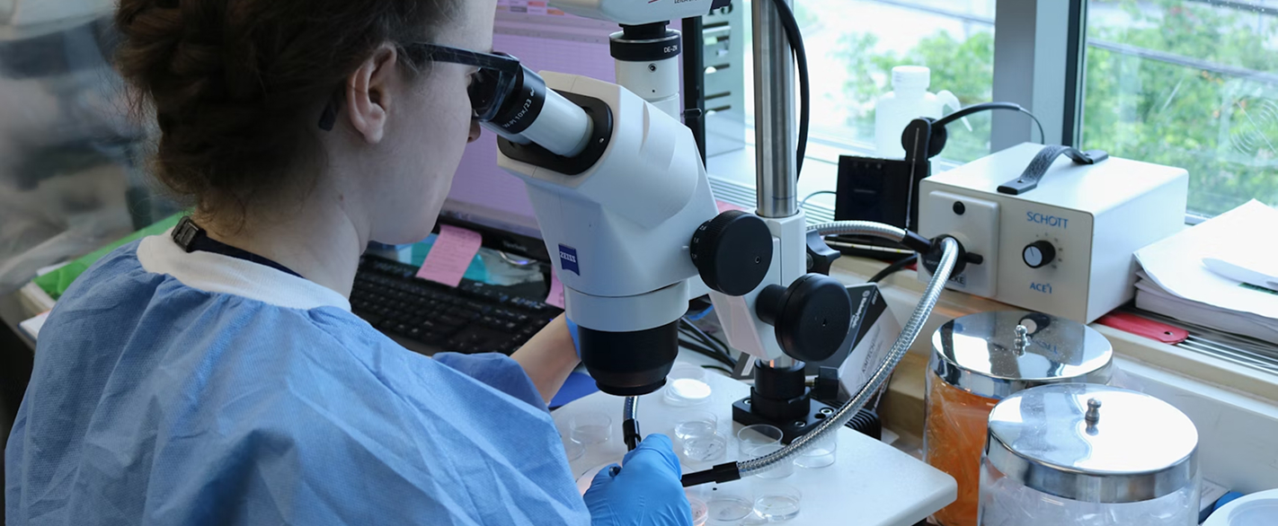 Laboratory